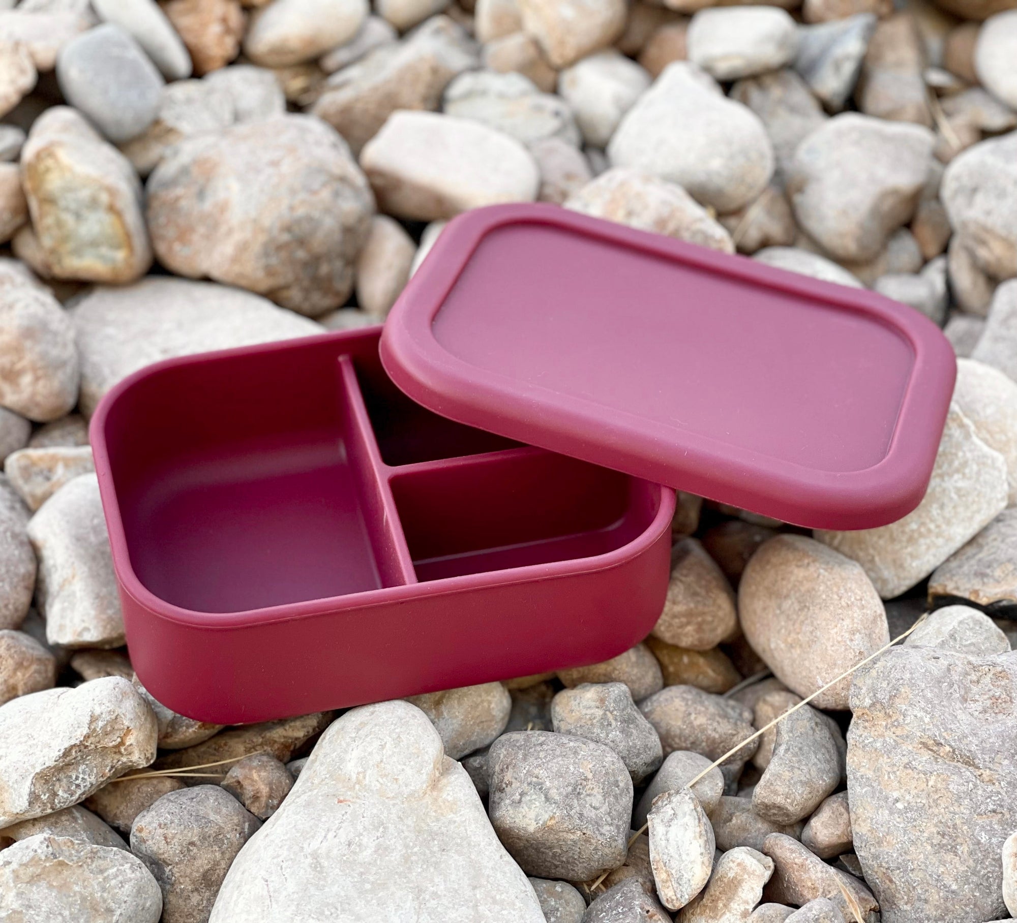 Silicone Bento Box (Pink) – PandaEar