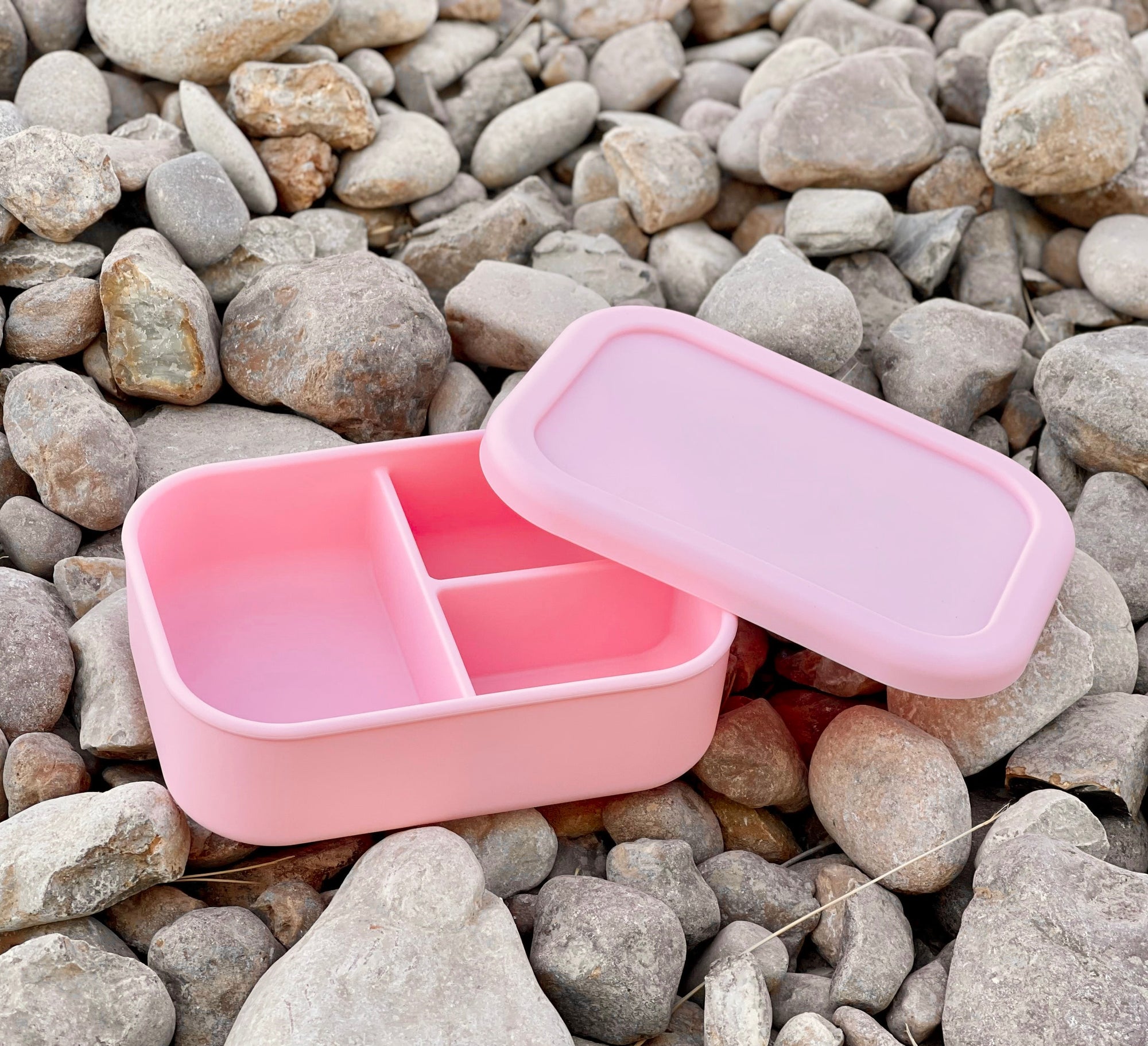 Pink Bento Box
